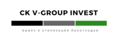 CK V-GROUP INVEST